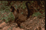 adult with infant