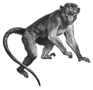artist's drawing